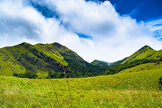 Wayanad Adventure Wilderness adventure vacation package in Wayanad, Kerala - The Genuine Travels Madurai