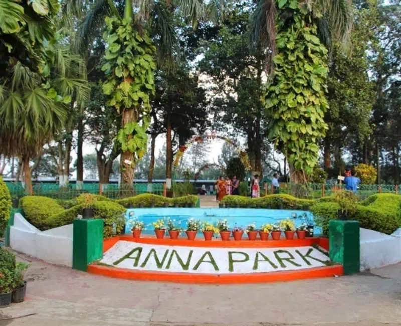 Anna Park