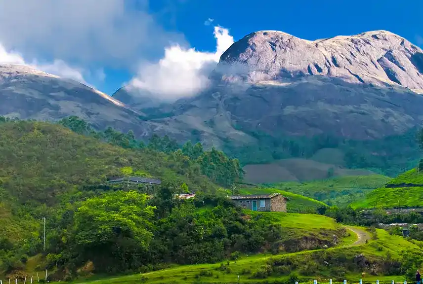 Munnar Sightseeing Views