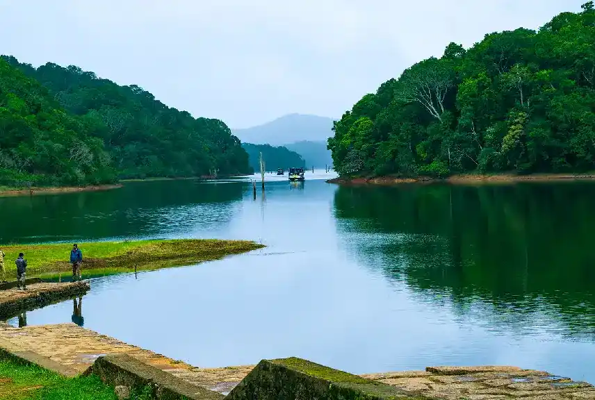 Thekkady Sightseeing Views